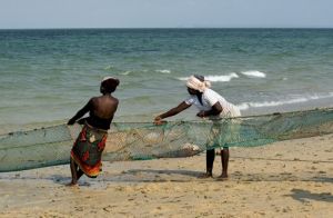 Fishing Nets At Inhassoro 